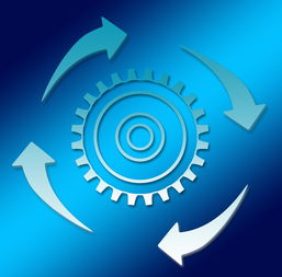 杏彩平台-体育新闻中心启动体育内容原创人才培养专项，体育新闻专题报道  第1张